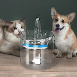 Liikumisanduriga voolava veega jooginõu kassile 2L