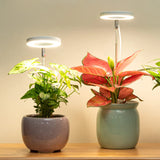 LED kasvulamp taimedele